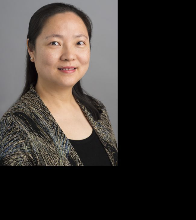 Jinzhu Gao