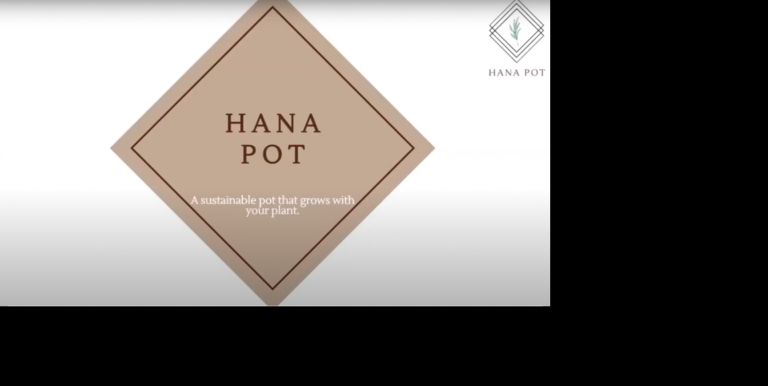 Hana Pot slideshow opening.