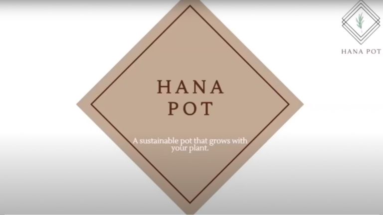 Hana Pot slideshow opening. 