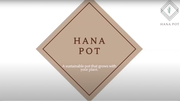 Hana Pot slideshow opening.